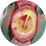 Oral photodynamic therapy system SOGA PDT-I